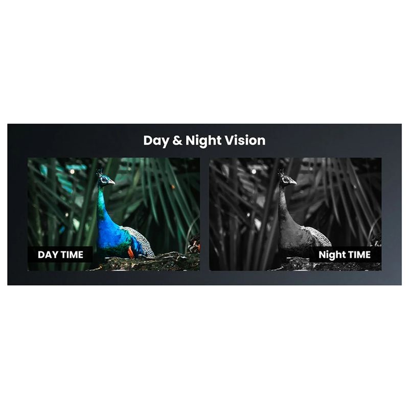 Ночной прицел T22C для арбалет – обзор и цена Night Vision Scope For Crossbow