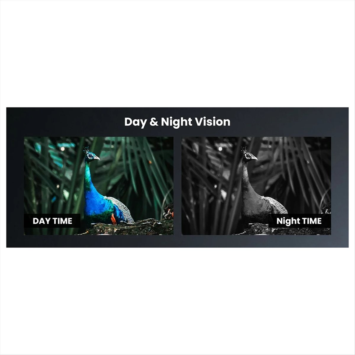 Y60A НОВИНКА - Прибор ночного  – обзор и цена Night Vision Scope For Crossbow